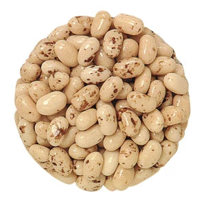 Jelly Belly Toasted Marshmallow Jelly Beans