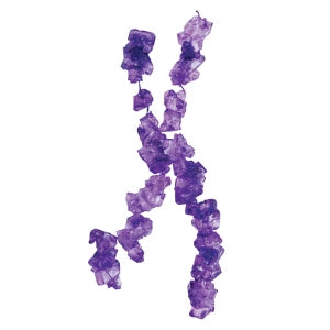 Rock Candy Strings - Grape